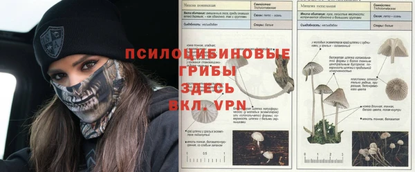 а пвп мука Алексеевка
